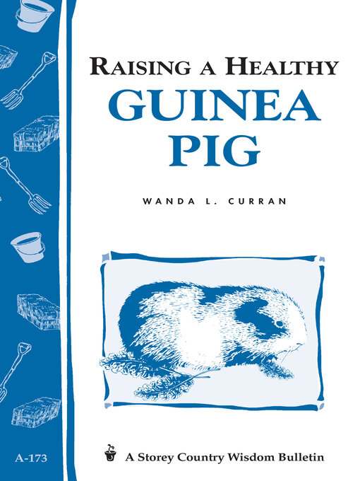 Title details for Raising a Healthy Guinea Pig by Wanda L. Curran - Available